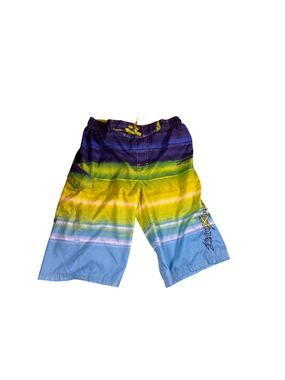 Zero X Posur Y2K Swim Trunks Mens Small Blue Green Embroidered Board Shorts